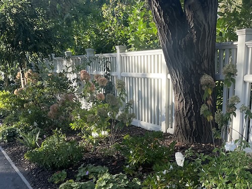 Pretty and maintained residential frontage next to a street, fence, and tree.