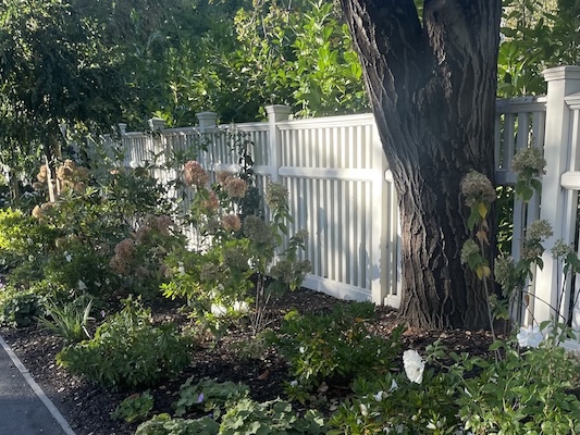 Pretty and maintained residential frontage next to a street, fence, and tree.